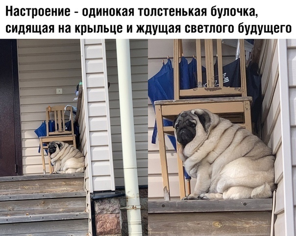 Так себе картинки 08.04.22