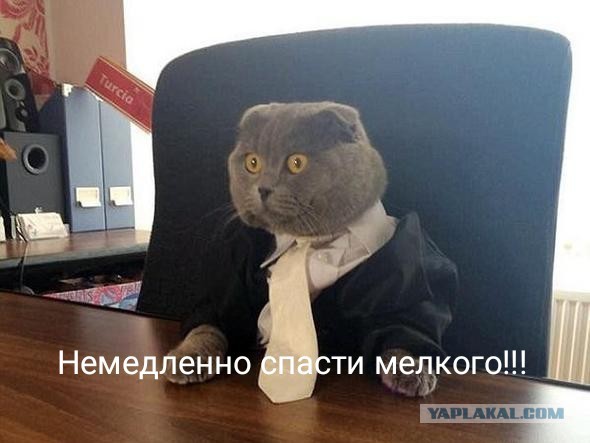 Медосмотр