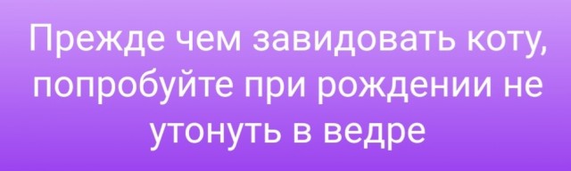 Так себе картинки 15.04.22
