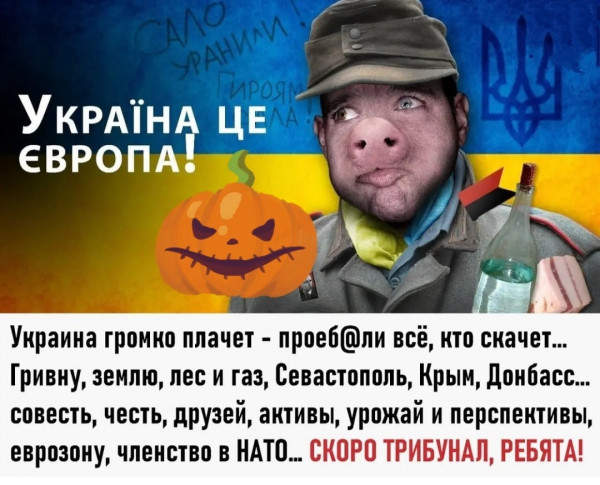 Так себе картинки 23.06.22