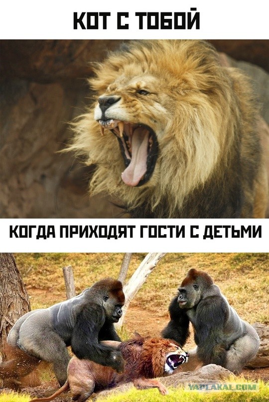 Немного картинок для настроения - 131