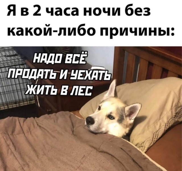 Картинки и мемы, всем хороших выходных