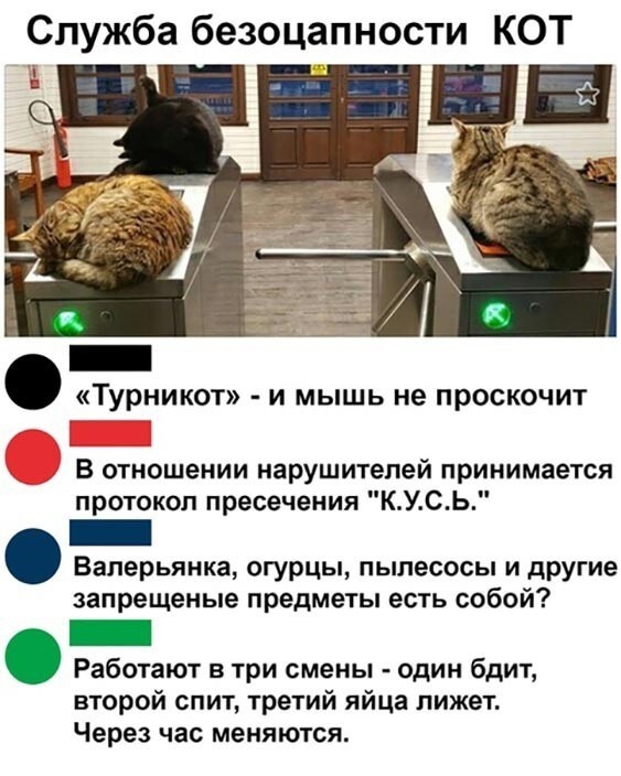 Так себе картинки 19.11.22