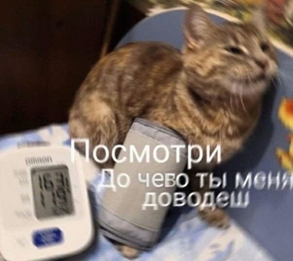 Ей весело
