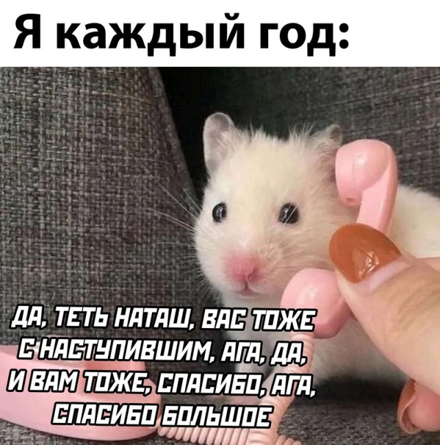 Картинки и мемы, всем хороших выходных
