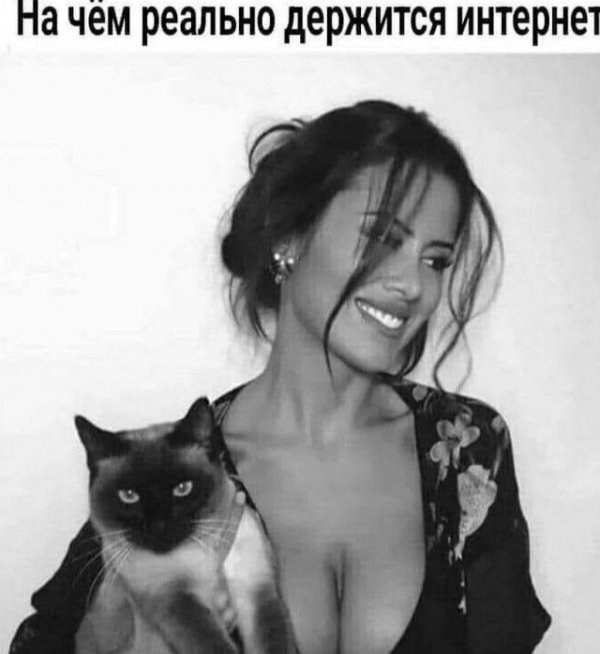 Зачем бабы вываливают сиськи?