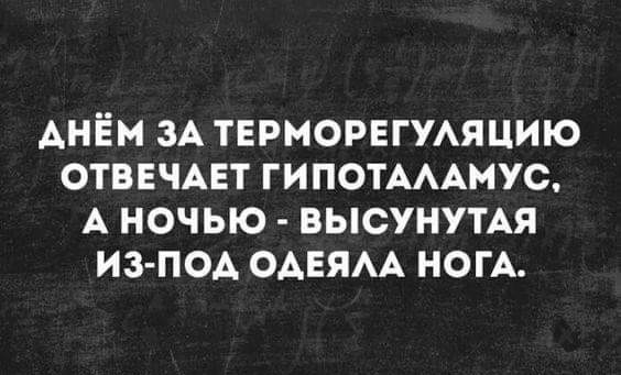 Картинки и мемы, всем хороших выходных