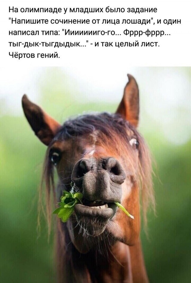 Картинки и мемы, всем хороших выходных