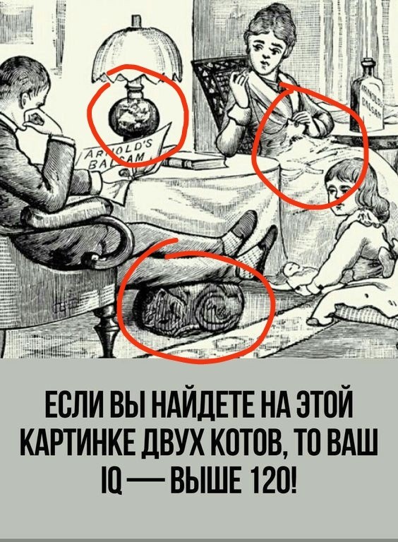 Прикольные и просто красивые картинки 21.02.2023