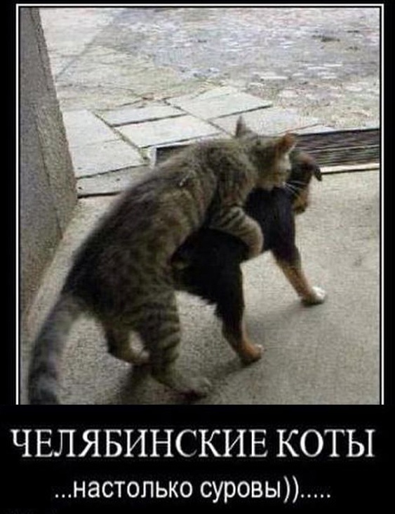 Так себе картинки 07.04.23