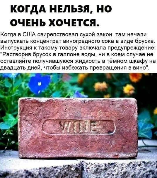 Кому что, а мне - можжевельник