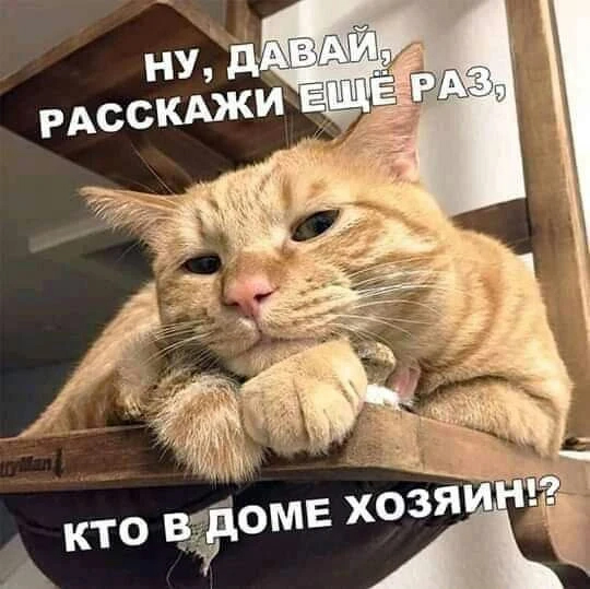 Нуштош 05.05.2023