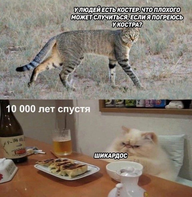 Картинки и мемы для настроения - 181