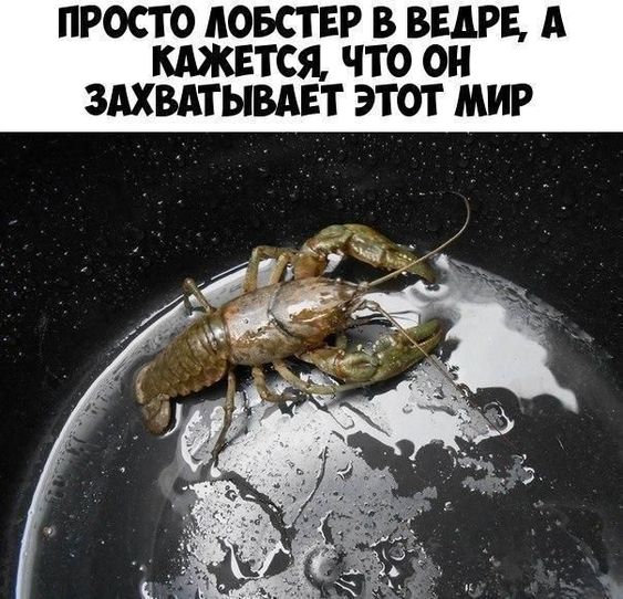 Картинки и мемы для настроения - 187