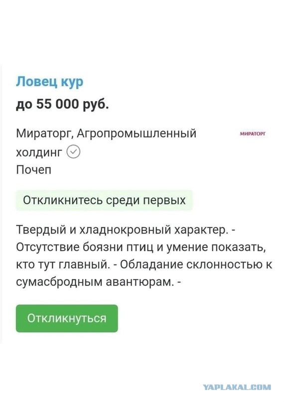 Победная поступь идиотизма по планете – том 16