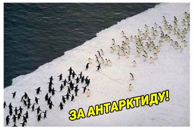 Скупка краденого из сети 15-06-2023