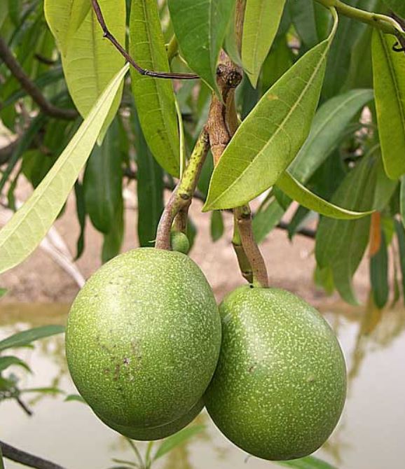 Ошибка выжившего счастливого человека в США - 2