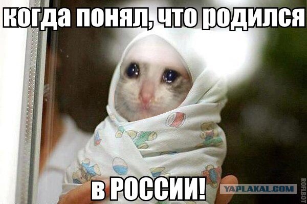 25 примеров, когда день не задался