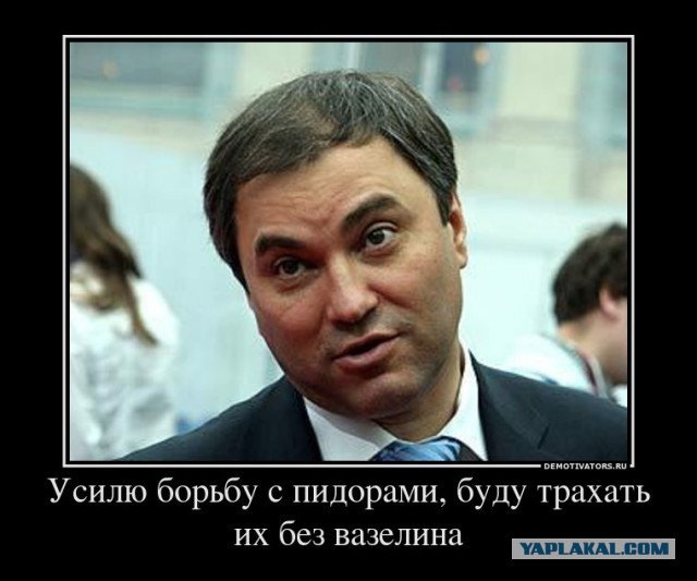 Володин призвал привлечь Байдена к уголовной ответственности