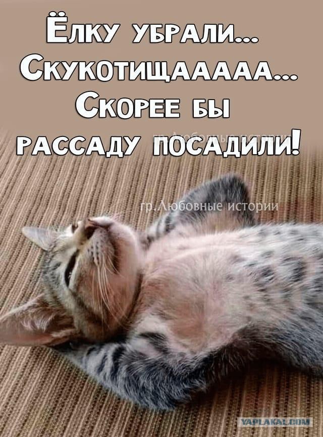 А как вы готовитесь к огородному сезону?