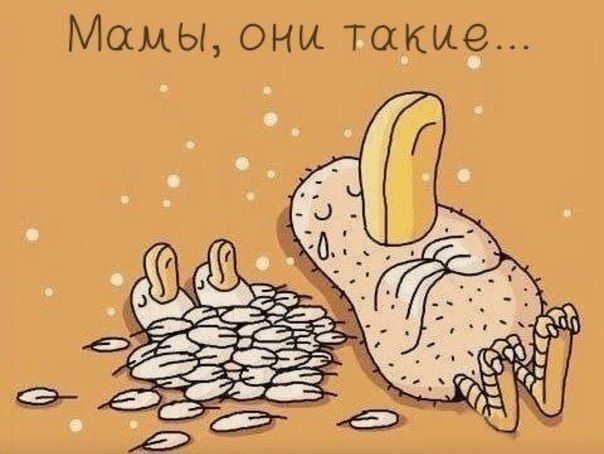 Мамы...