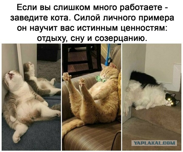 Байаны