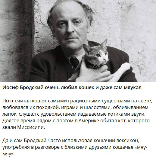 Фотографии из прошлого нашей страны - 58
