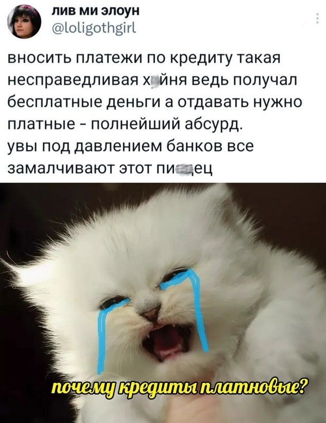 Весёлый полтишок 10.07.24