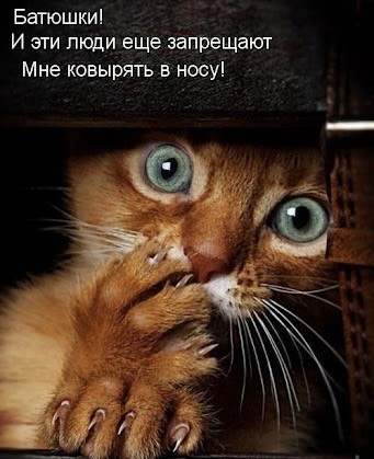Во Владивостоке хирург провёл десятки фантомных операций