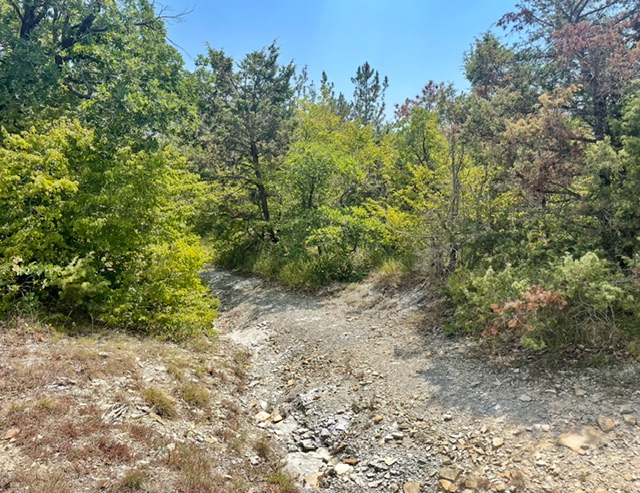 Жительница Анапы попала в ловушку из гвоздей во время пробежки и пробила ноги насквозь