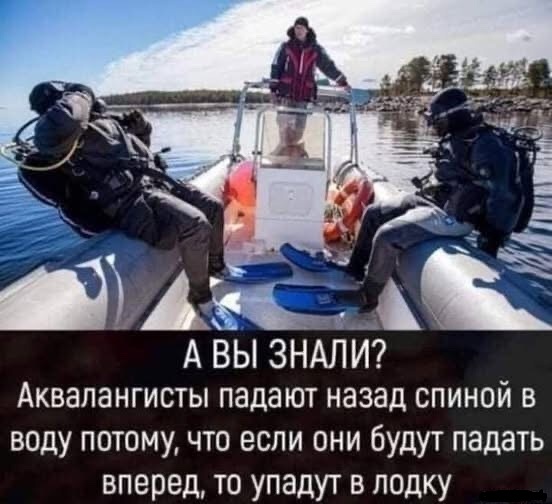 Это к нам менты что ли?