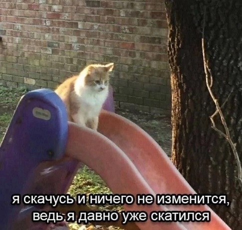 К котовторнику: подборка картинок-баянов с котиками и про котиков. Выпуск 18.