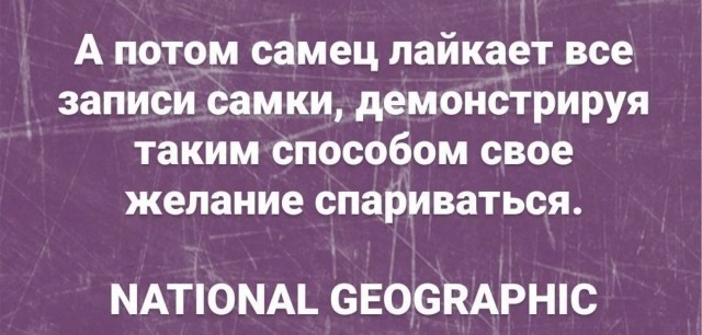 Так себе картинки 07.10.25