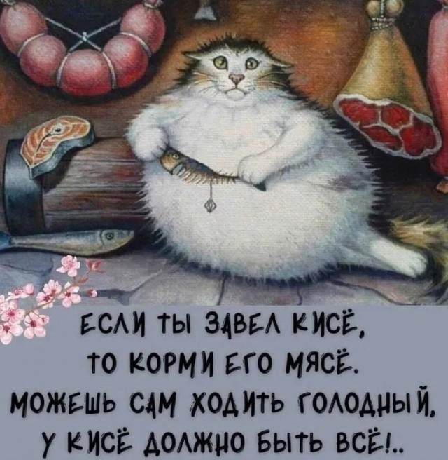 К котовторнику: подборка картинок-баянов с котиками и про котиков. Выпуск 23.