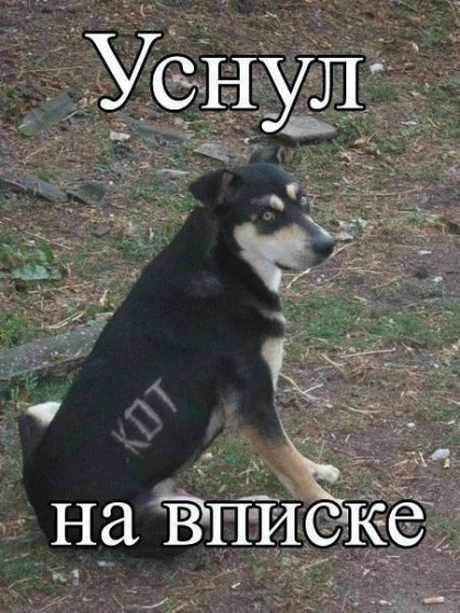 Забавные и не очень скромные картинки - 19