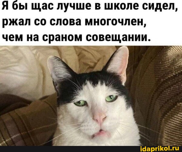 Насри победил Насралла на выборах в Гондурасе