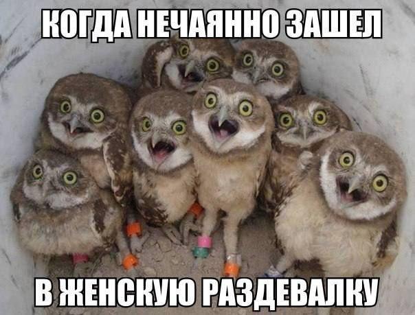 Картинки для деградации 145 (разной степени свежести)