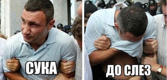 В чужой сад за яблоками всегда надо брать с собой друга