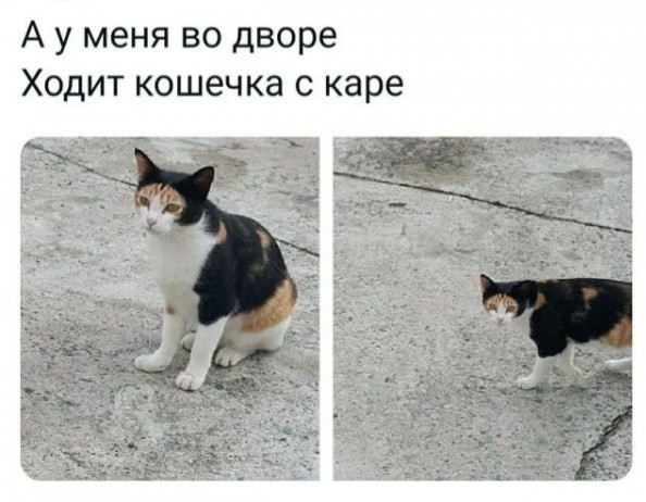 Каре