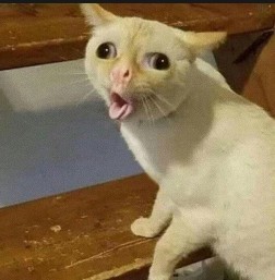 Это не Узкое