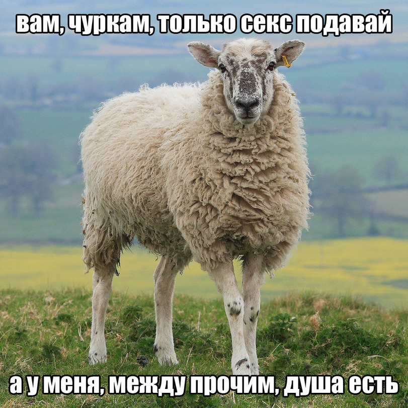 Название