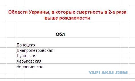 Фото дня