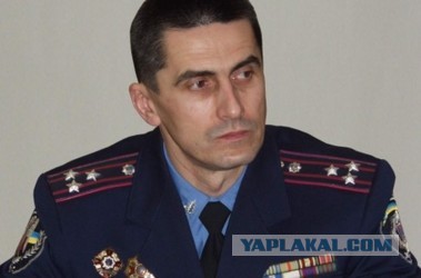 В Киеве жестоко избили журналистку Таню Чорновил
