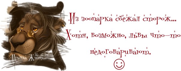 Смешные фото из сети