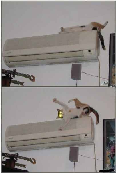 Жесть, как же его поломало