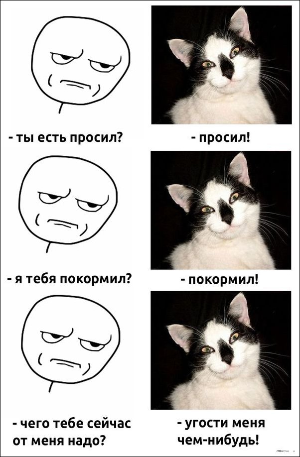 Просто несколько непонятных фотографий