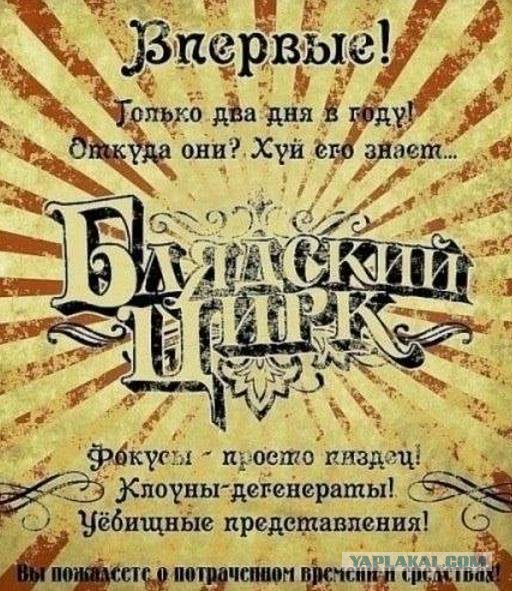 Смешные картинки и комментарии