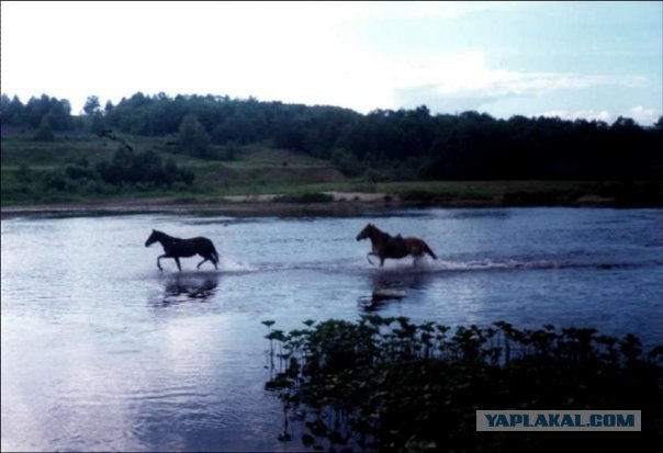 Вот такой вот закат