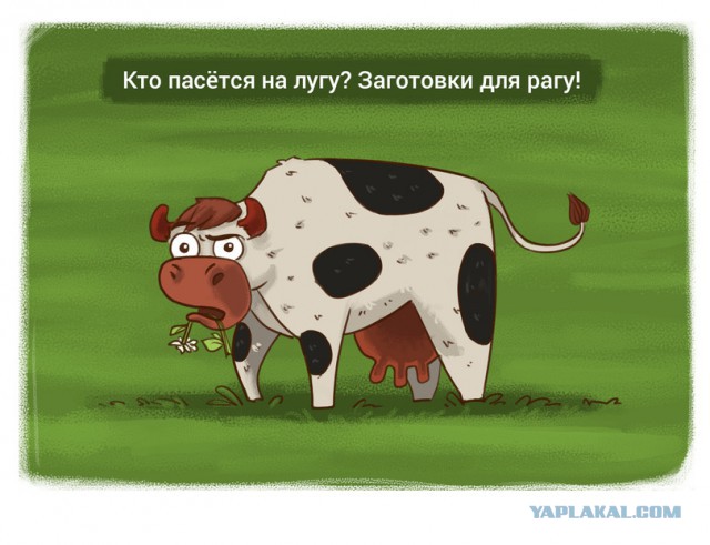 Маразмы веганов