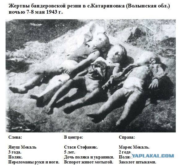 Херой.